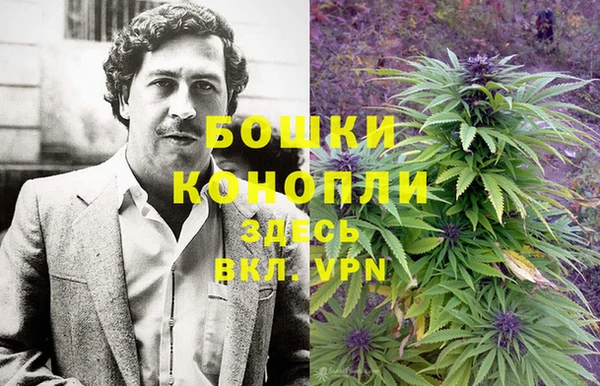 2c-b Горно-Алтайск