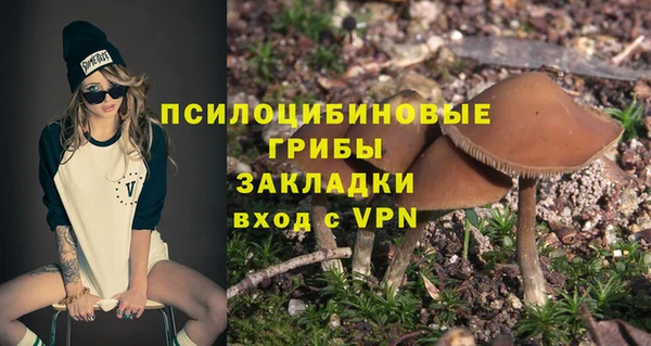 метадон Горняк